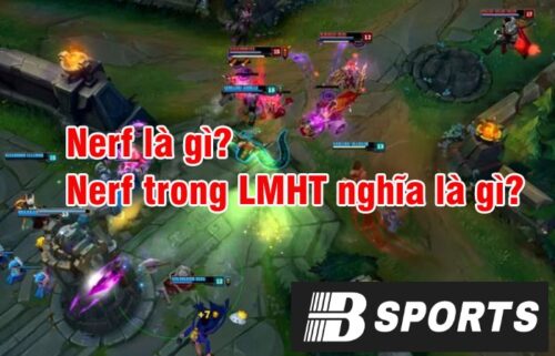 Khái niệm Nerf là gì? 