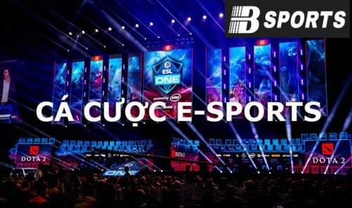 Những trang cá cược esport uy tín được nhiều game thủ trải nghiệm 