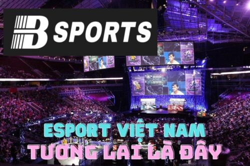 Kết luận esport là gì