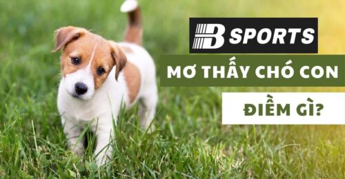 Nằm mơ thấy chó con