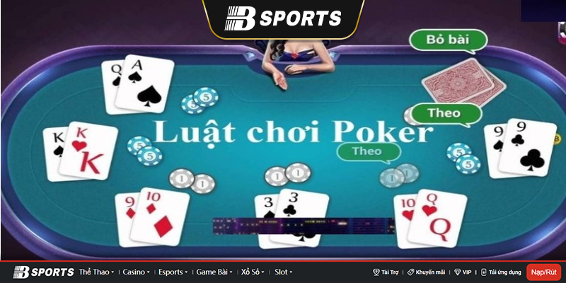Tên gọi chính xác của người chơi theo luật poker