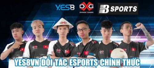Thông tin công khai minh bạch của trang web cá cược esport yes8
