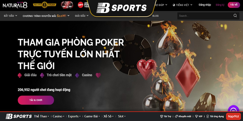 Giới thiệu về n8 poker
